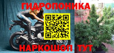индика Уссурийск
