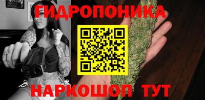индика Уссурийск