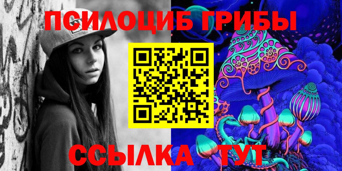 Псилоцибиновые грибы прущие грибы Чехов